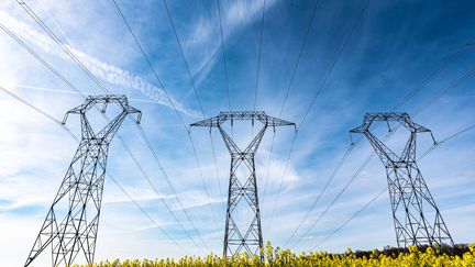 Des lignes à haute tension à&nbsp;Saint-Fargeau-Ponthierry (Seine-et-Marne), le 10 avril 2022.&nbsp; (ARNAUD PAILLARD / HANS LUCAS / AFP)