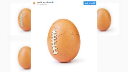 La photo dévoilée samedi 2 février 2019 par le compte Instagram Word Egg Record. (INSTAGRAM)