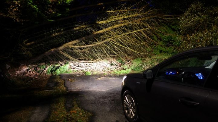 Un véhicule bloqué par la chute d'un arbre à Plobannalec-Lesconil (Finistère), le 2 novembre 2023. (FRED TANNEAU / AFP)