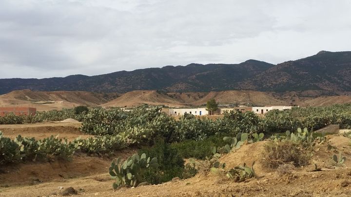 &nbsp; (Au pied du mont Mghilla, entre Sidi Bouzid et Kasserine, les groupuscules djihadistes s'implantent. © Mathilde Lemaire/Radio France)