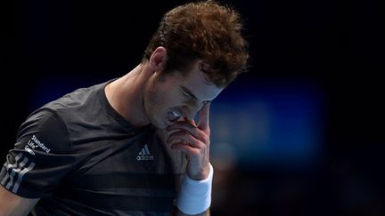 Le joueur écossais Andy Murray