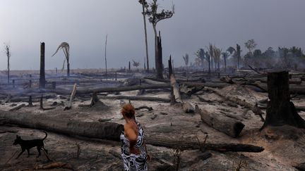 Une femme devant la forêt amazonienne brûlée, le 6 décembre 2019. (RICARDO MORAES / REUTERS)