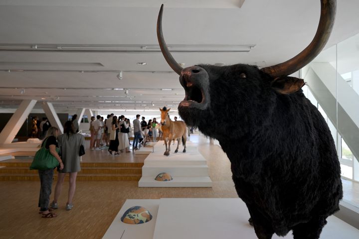 Des personnes visitent le musée "Cosquer Mediterranee" le 1er juin 2022 à Marseille, dans le sud de la France, trois jours avant son ouverture.&nbsp; (NICOLAS TUCAT / AFP)