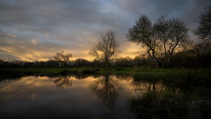 "Le niveau des rivières est relativement élevé" cet hiver 2023, estime l'hydrologue Vazken Andreassian mais "il y a encore quelques points noirs". Photo d'illustration. (LOIC VENANCE / AFP)