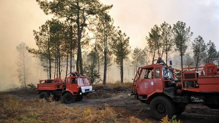 Des pompiers s'affairent pour maîtriser un feu de forêt, le 03 septembre 2010 à Sanguinet. (AFP - Pierre Andrieu)