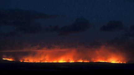 Ce sont près de 400 incendies de forêts qui se déclarent, causant la mort de 173 personnes.
 
«Je n'ai jamais vu des conditions climatiques aussi extrêmes que celles qui ont été observées samedi. C'est sans précédent», avait déclaré à l’époque Mark Adams, spécialiste des incendies à l'université de Sydney. (  AFP PHOTO / Paul CROC)