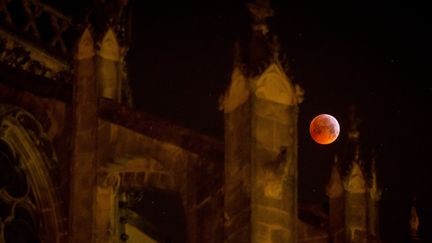 L'éclipse lunaire vue depuis la cathédrale de Tours (Indre-et-Loire), le 21 janvier 2019. (GUILLAUME SOUVANT / AFP)