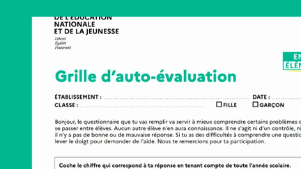 Harcèlement scolaire : un questionnaire distribué dans les écoles (Franceinfo)