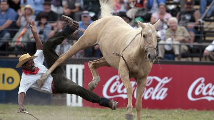 Un gaucho est eject&eacute; par un cheval sauvage &agrave; Montevideo (Uruguay), le 25 mars 2013. (ANDRES STAPFF / REUTERS)