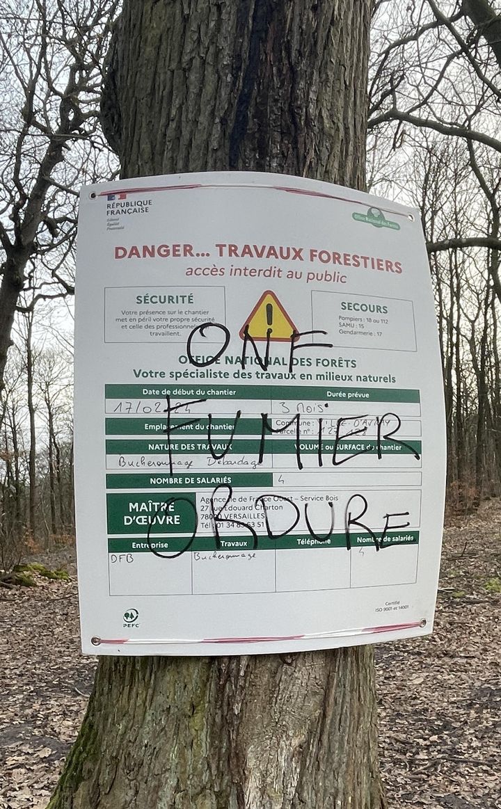 Un panneau d'information de l'ONF annonçant des coupes d'arbres dans la forêt de Fausses Reposes à Ville d'Avray tagué (Hauts-de-Seine), 20 février 2024 (DAUPHIN / RADIO FRANCE)