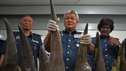 En provenance du Mozambique, les pièces, d'un poids total de 51,4 kilos et d'une valeur estimée à 3 millions d'euros, ont été saisies par les douaniers malaisiens au terminal fret de l'aéroport de Kuala Lumpur, dans des caisses en bois estampillées «objets d'art». La marchandise, transportée à bord d'un avion de Qatar Airways, a transité par Doha, la capitale qatarie.
A contre-courant de l'interdiction mondiale, l'Afrique du Sud, où le braconnage explose, vient en revanche d'autoriser la vente de cornes de rhinocéros à l'intérieur de ses frontières, cela sans tuer d'animaux. (MANAN VATSYAYANA / AFP)