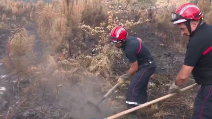 Vendredi 22 juillet, 1 800 pompiers étaient toujours mobilisés pour contenir les feux en Gironde, qui ne progressent plus depuis deux jours. Mais la lutte pourrait durer encore plusieurs semaines. (FRANCE 2)