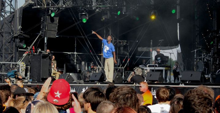 Live du Peuple de l&#039;herbe aux Solidays 2012
 (Louise Wessbecher/Culturebox)