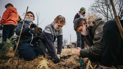 Les enfants d'une école de Rion-des-Landes (Landes) plantent des arbres, le 7 décembre 2021. (LEO COULONGEAT / HANS LUCAS / AFP)