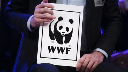 Le logo de l'ONG WWF en mars 2017.&nbsp; (VINCENT ISORE / MAXPPP)