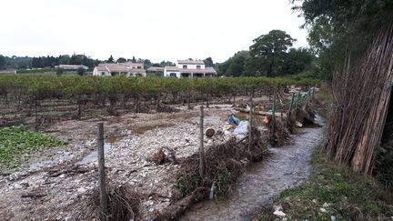 Une parcelle de Maison Ventenac, à Ventenac-Cabardès (Aude), après les pluies du 15 octobre. Le lit du petit ruisseau, le Gazel,&nbsp;s'est déplacé et coule désormais en partie dans les rangs de vigne. (BENJAMIN MATHIEU / RADIO FRANCE)