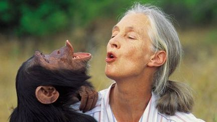 Jane Goodall, une vie dédiée à la défense des animaux et de la nature
 ( Michael Neugebauer)