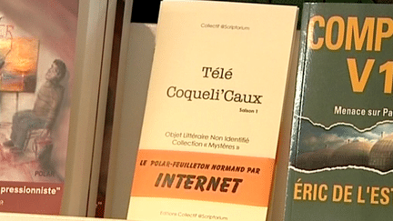 Un roman où les lecteurs doivent résoudre des énigmes et proposer des solutions
 (France 3 Culturebox)