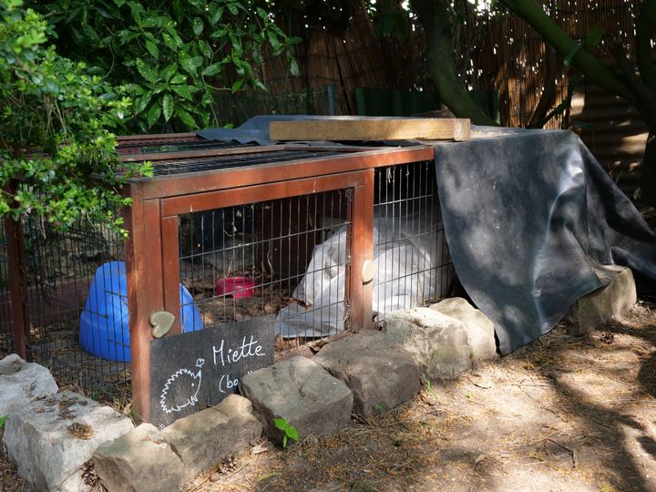 Tous les hérissons recueillis par Sara et Jérôme Stahl reçoivent un nom. Impossible de voir Miette ou un autre pensionnaire : le hérisson est un animal nocturne.&nbsp; (ISABELLE MORAND / RADIO FRANCE / FRANCE INFO)