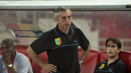 Alain Giresse le 1er septembre 2017 lors du match Maroc-Mali (0-0). (FADEL SENNA / AFP)