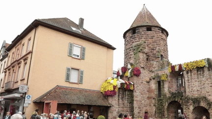 Allemagne : la ville de Lahr se pare de milliers de chrysanthèmes (France 2)