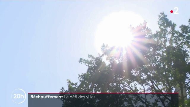 Réchauffement Climatique : Comment S'adaptent Les Villes Aux Fortes ...