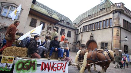 &nbsp; (Les faucheurs à leur procès en première instance en mars 2014 © Maxppp)