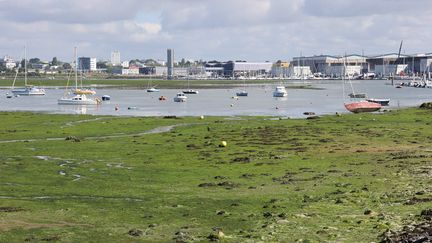 Les rives du Ter à Larmor-Plage (Morbihan), envahies par les algues vertes, le 5 juin 2021. (FRANCOIS DESTOC / MAXPPP)