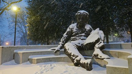 A hauteur d'homme aussi, les chutes de neige ont donné à Washington une allure pittoresque, comme le constate cet Albert Einstein géant. (MANDEL NGAN / AFP)