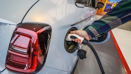 Seule une voiture sur dix vendues en Allemagne en janvier 2024 était électrique. Photo d'illustration (LIONEL VADAM  / MAXPPP)