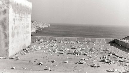 Une centaine de photos prises sur une période de trente ans par l'artiste français entre l'Espagne, la France, l'Italie et la Grèce, des paysages déserts, silencieux, mystérieux et familiers qui racontent son dialogue avec une "métaphysique" de la Méditerranée (Real Jardín Botánico). Photo : Bernard Plossu. L'heure immobile
 (Bernard Plossu)