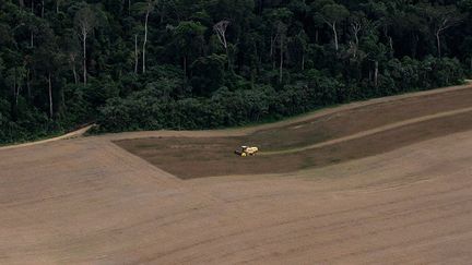 les défenseurs de l’environnement pointent souvent la culture intensive de soja OGM et la création d’immenses prairies pour les grands élevages de bovins. (Reuters/Nacho Doce)