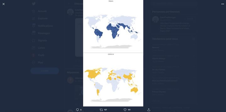 Capture d'écran d'un tweet présentant deux cartes opposants les pays touchés par le coronavirus et la malaria. (CAPTURE ECRAN)