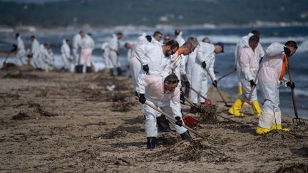 Var : le grand nettoyage s'organise pour dépolluer les plages