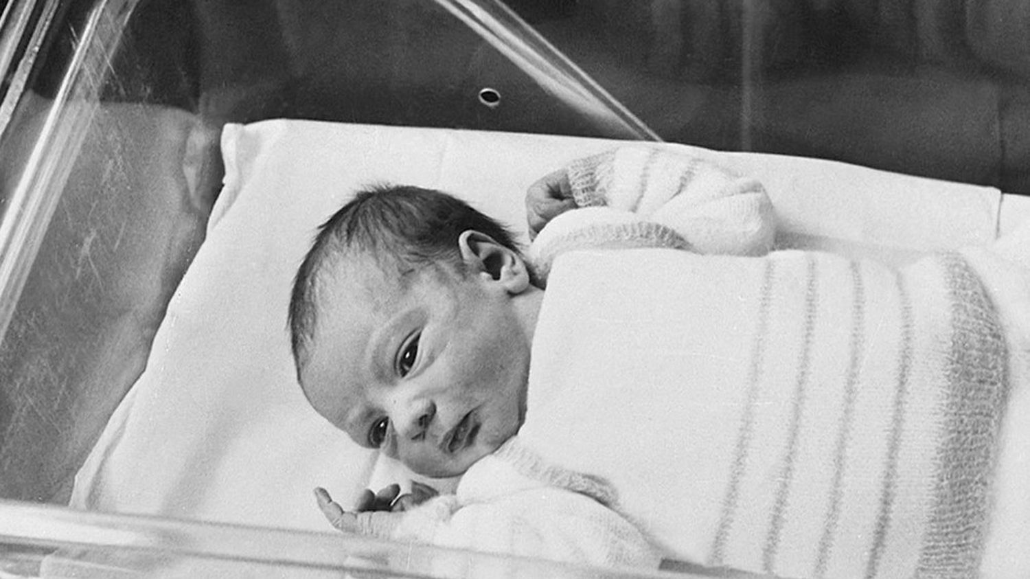 Sciences : Il Y A 40 Ans Naissait Amandine, Le Premier Bébé-éprouvette