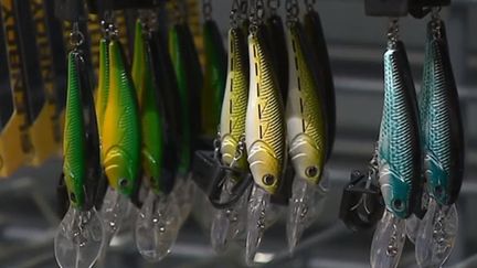 Certains se sont levés très tôt, samedi 9 mars, pour l'ouverture de la pêche à la truite. C'est l'un des loisirs préférés des Français, notamment en&nbsp;Haute-Vienne. (FRANCE 3)