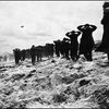 Des soldats allemands faits prisonniers sur Utah Beach, le 6 juin 1944.&nbsp; (AFP)