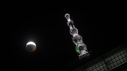 Le ciel était aussi dégagé à New York, comme le montre cette photo montrant la Lune et le&nbsp;One World Trade Center, le 21 janvier 2019. (ATILGAN OZDIL / ANADOLU AGENCY / AFP)