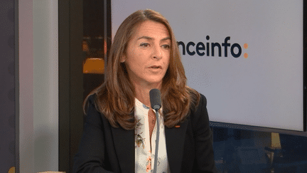 Agnès Jullian, président de Technilum, le 21 novembre 2024. (FRANCEINFO / RADIO FRANCE)