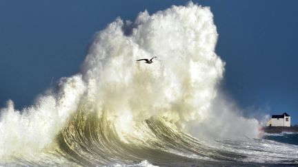 Un peu plus loin, les vagues gigantesques prennent une couleur or lorsqu'elles sont éclairées par le soleil. (FRED TANNEAU / AFP)