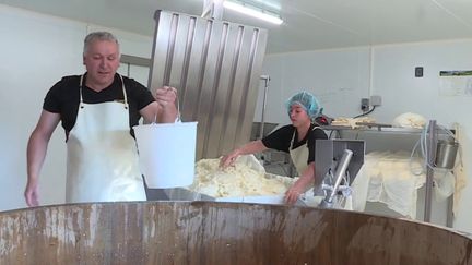 La fabrication du fromage Salers, dans le Cantal, a dû être arrêtée en raison de la sécheresse, dès vendredi 12 août. Les vaches n'ont plus assez d'herbe à manger dans les prés pour respecter les normes de l'appellation d'origine protégée (AOP). (FRANCEINFO)