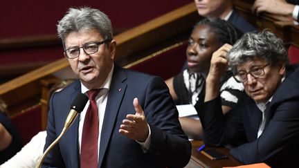 Jean-Luc Mélenchon à l'Assemblée nationale, le 24 juillet 2018. (BERTRAND GUAY / AFP)