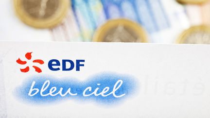 Des centaines de clients d'EDF ont re&ccedil;u des mails frauduleux les appelant &agrave; communiquer leurs coordonn&eacute;es bancaires, r&eacute;v&egrave;le Le Parisien le 31 janvier 2013. (STEPHANE OUZOUNOFF / PHOTONONSTOP / AFP)