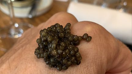 Pour vraiment apprécier quelques grains de caviar, il suffit de les déposer sur le dos de la main et de les avaler nature. (BERNARD THOMASSON / FRANCEINFO)