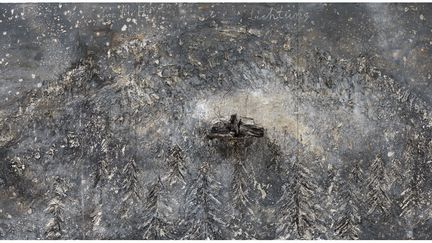 Anselm Kiefer, "Lichtung" (Clairière), 2015, collection particulière
 (Anselm Kiefer - photo © Georges Poncet)