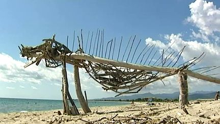 Les oeuvres éphémères et écologiques de Patrice Bonnel ont envahi la plage de Serra-di-Fiumorbo 
 (France 3 / Culturebox)