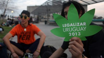 Des partisans de la loi sur la l&eacute;galisation du cannabis manifestent devant le Parlement uruguayen, le 31 juillet 2013 &agrave; Montevideo (Uruguay). (PABLO BIELLI / AFP)