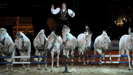 Lorenzo, l'une des têtes d'affiches de l'édition 2013 des Crinières d'Or.
 (©IMRE FOLDI/EPA/MAXPPP)