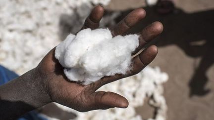 L'économie du Bénin repose essentiellement sur la culture du coton. Le glyphosate est abondamment utilisé dans les plantations sans aucune précaution. (Photo AFP/Stefan Heunis)