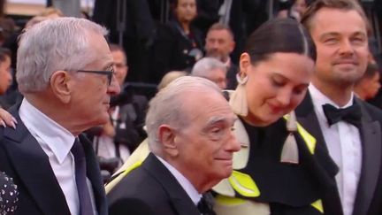 Festival de Cannes : les stars à la pelle sur le tapis rouge (FRANCE 2)